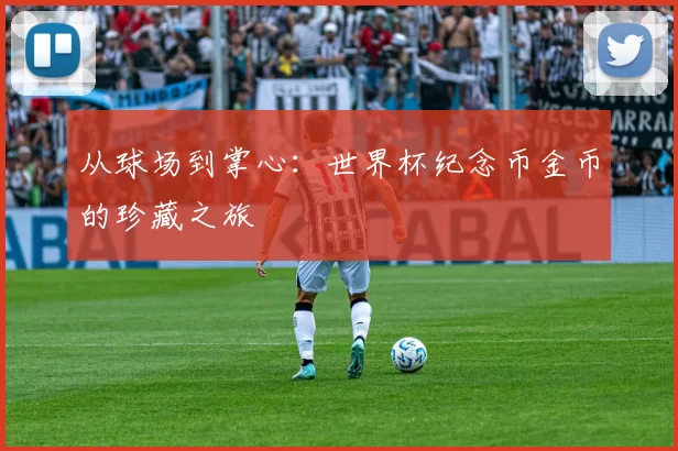 从球场到掌心：世界杯纪念币金币的珍藏之旅