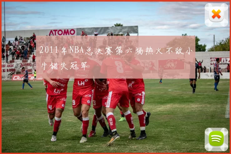 2011年NBA总决赛第六场热火不敌小牛错失冠军