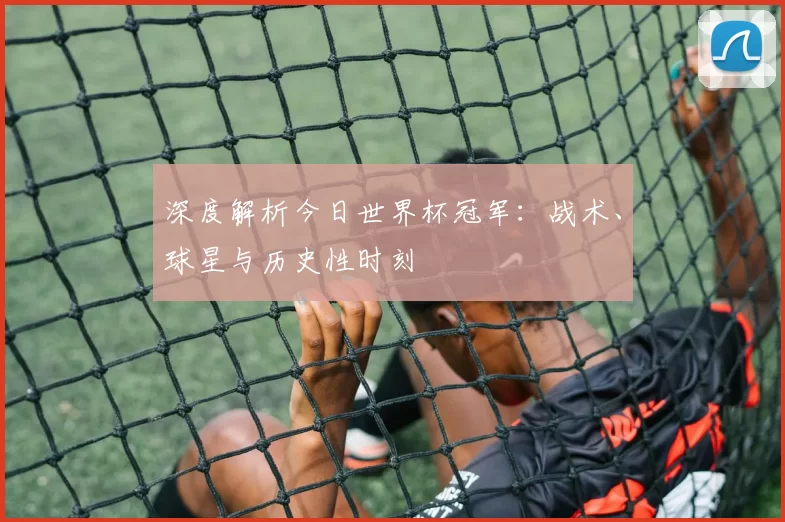 深度解析今日世界杯冠军：战术、球星与历史性时刻