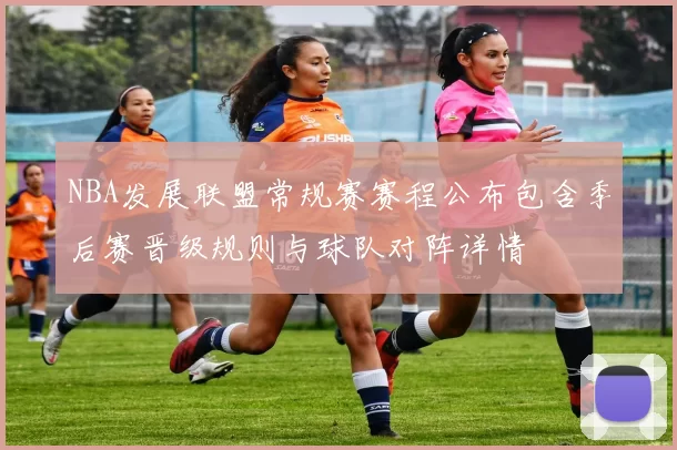 NBA发展联盟常规赛赛程公布包含季后赛晋级规则与球队对阵详情