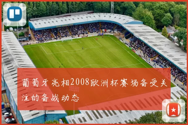 葡萄牙亮相2008欧洲杯赛场备受关注的备战动态