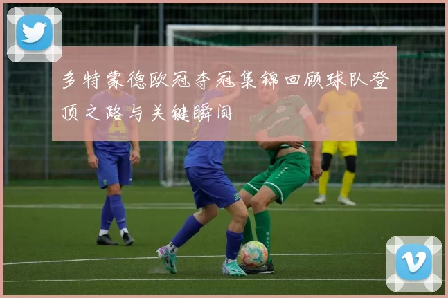 多特蒙德欧冠夺冠集锦回顾球队登顶之路与关键瞬间
