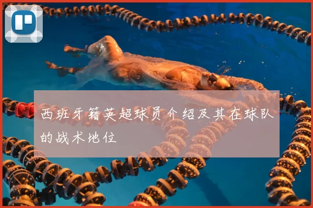 西班牙籍英超球员介绍及其在球队的战术地位