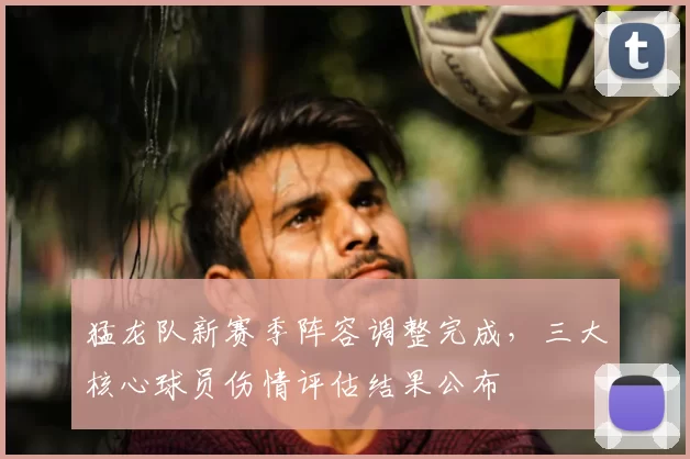 猛龙队新赛季阵容调整完成，三大核心球员伤情评估结果公布