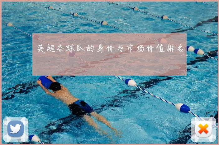 英超各球队的身价与市场价值排名