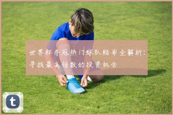 世界杯夺冠热门球队赔率全解析：寻找最高倍数的投资机会