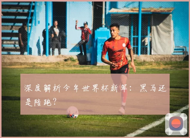 深度解析今年世界杯新军：黑马还是陪跑？