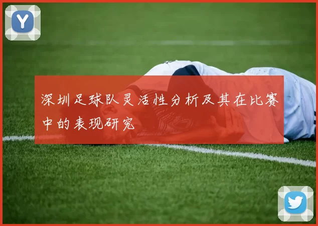 深圳足球队灵活性分析及其在比赛中的表现研究