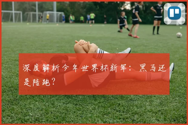 深度解析今年世界杯新军:黑马还是陪跑?
