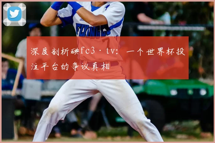 深度剖析碘fc3·tv:一个世界杯投注平台的争议真相