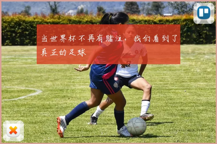 当世界杯不再有赌注，我们看到了真正的足球