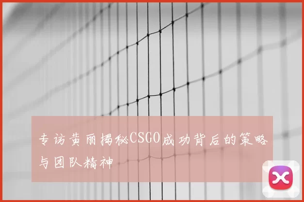 专访黄丽揭秘CSGO成功背后的策略与团队精神