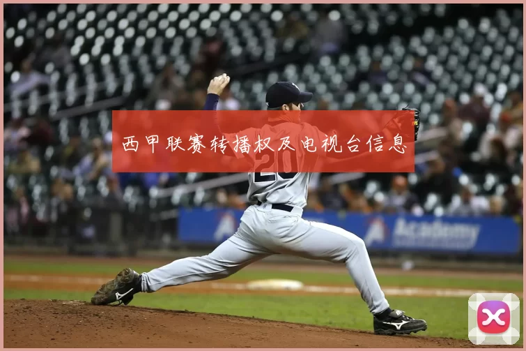 西甲联赛转播权及电视台信息