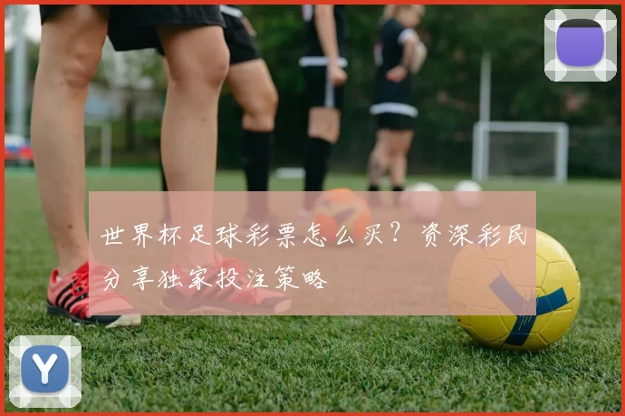 世界杯足球彩票怎么买？资深彩民分享独家投注策略