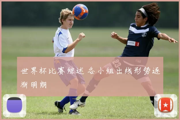 世界杯比赛综述 各小组出线形势逐渐明朗