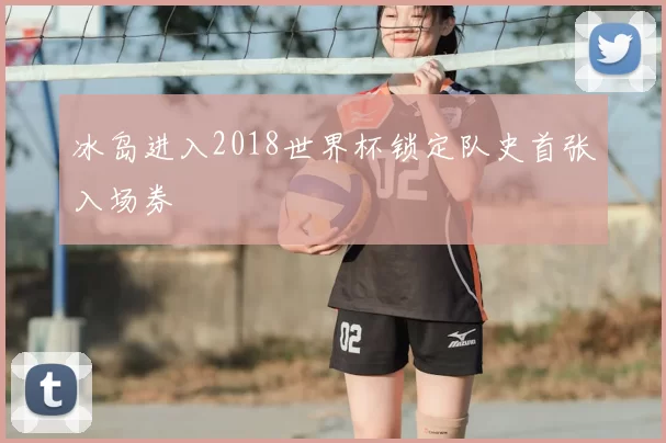 冰岛进入2018世界杯锁定队史首张入场券