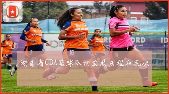湖南省CBA篮球队的发展历程和现状