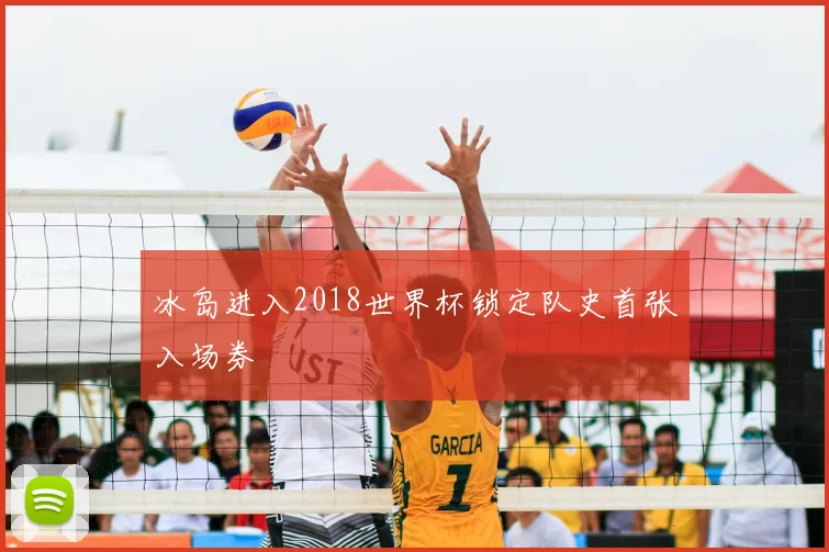 冰岛进入2018世界杯锁定队史首张入场券