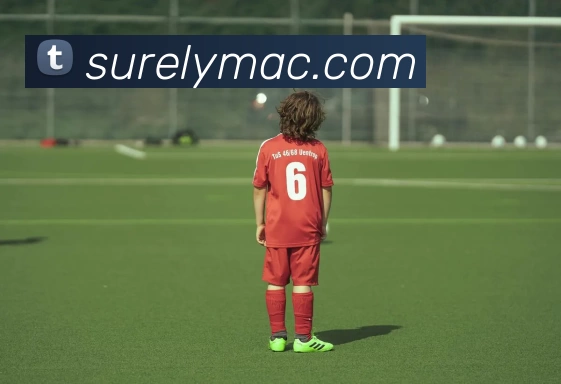 华体会app发展历程